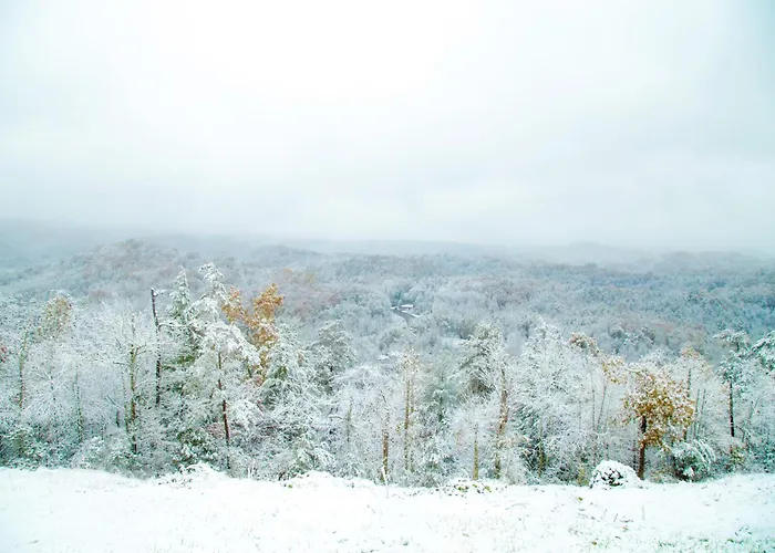 Lodging Leconte Mountain Breeze